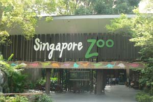 Picture Singapore  on Singapore Zoo Singapore Singapore Singapore Zoo